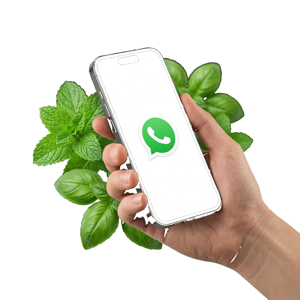 Sakthi Frozen WhatsApp Direct Assistance on Smartphone